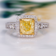 Explore curated partner collection